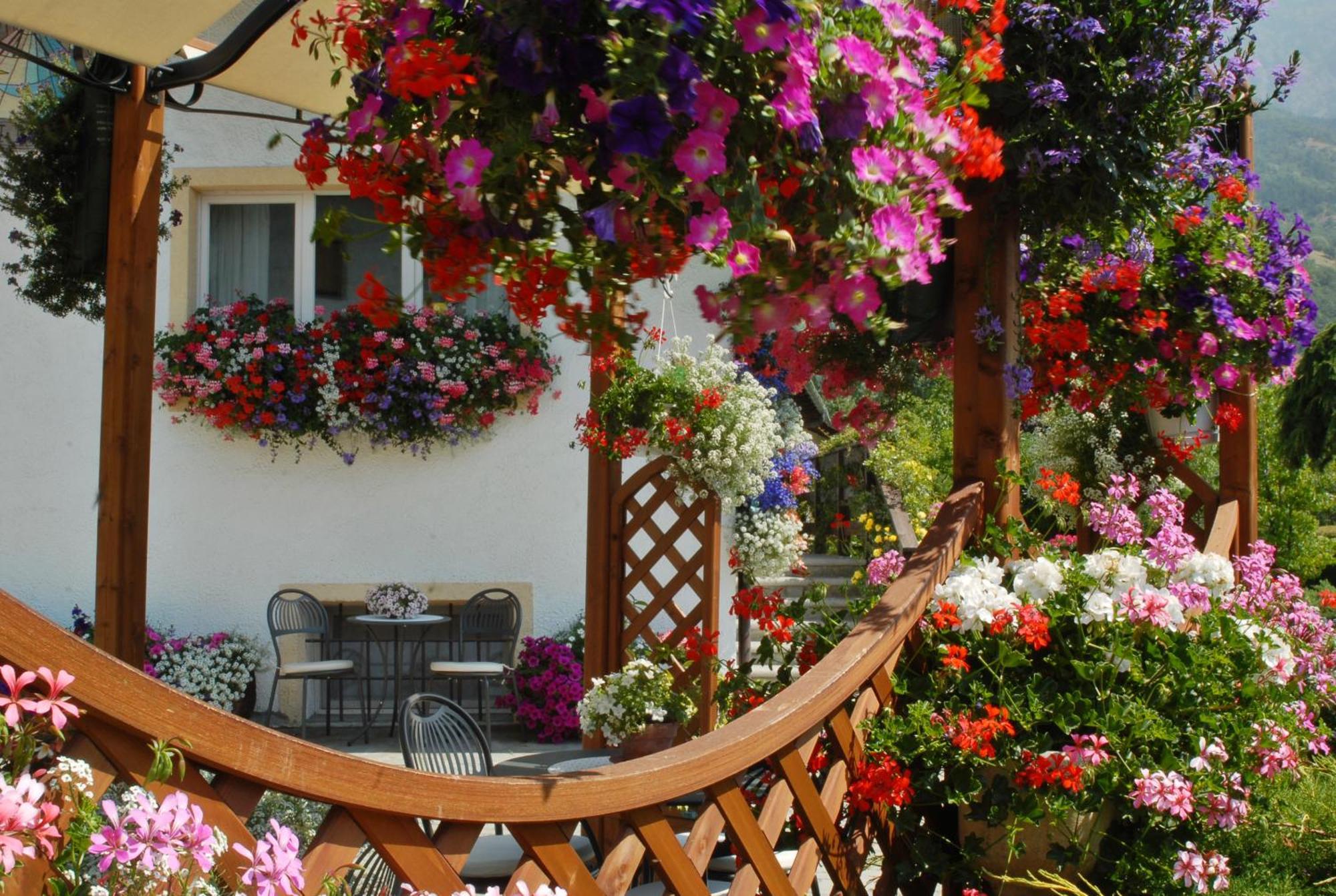 La Roche Hotel Appartments Aosta Eksteriør billede